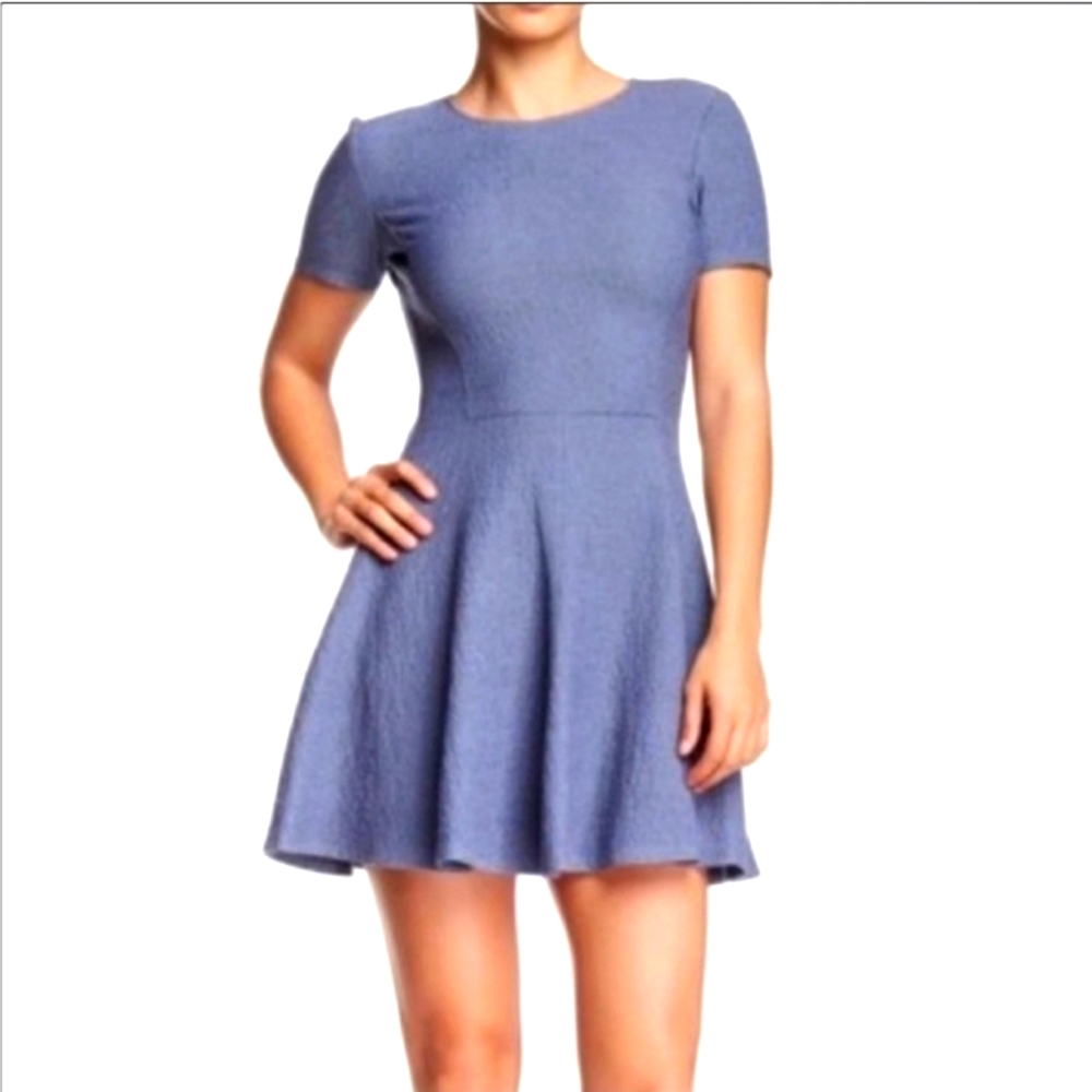 THEORY Albita Fit & Flare Short Sleeve Fit & Flare mini dress size 0